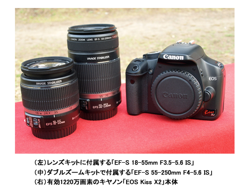 Canon Kiss X2などまとめて6個ジャンク(G67) 【公式通販】