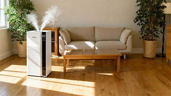 202510091623_1.jpg?v=1760043616