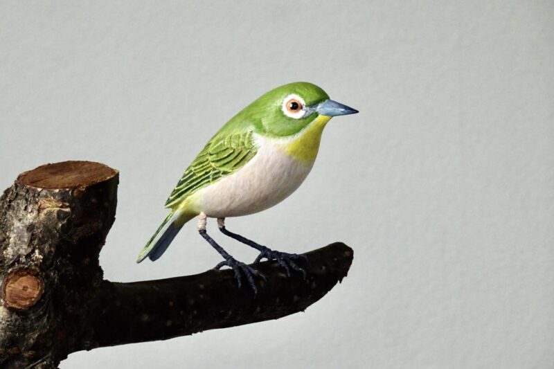 3ヶ月ぶりに力作5点が完成です | ヤマダテルオ のバードカービング