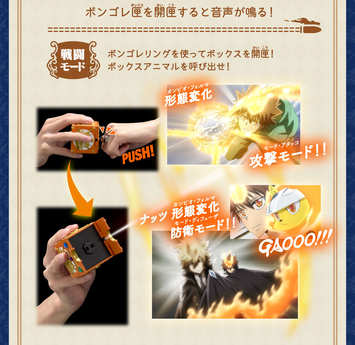 Katekyo Hitman Reborn! Special Memorize Vongola Box & Vongola Ring