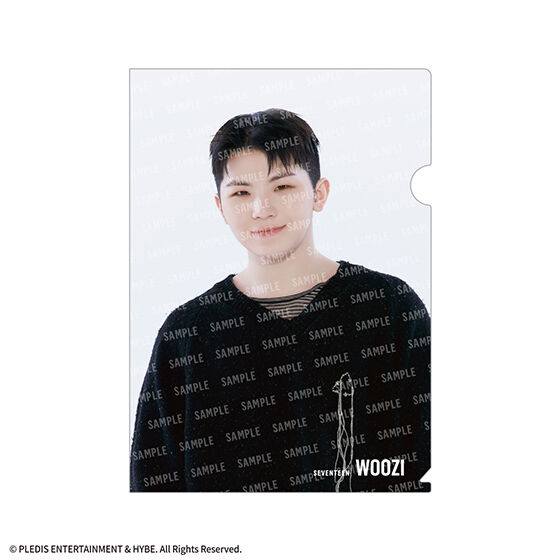 SVTクリアファイルvol.2 From PLEDIS ENTERTAINMENT SEVENTEEN