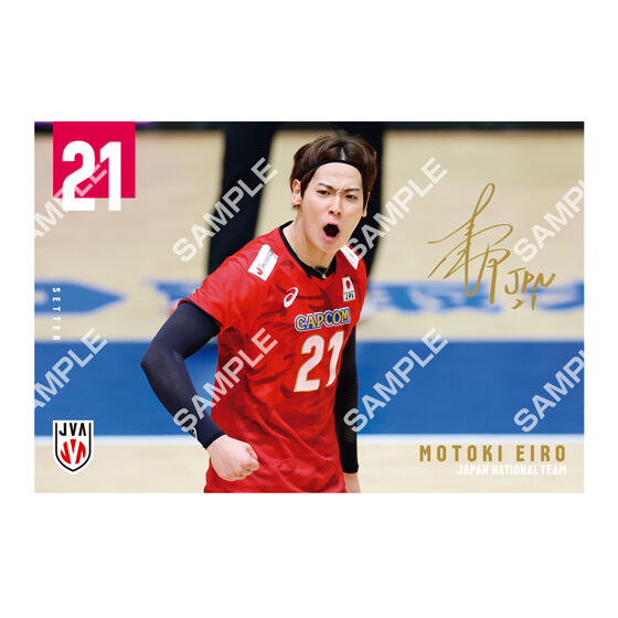 フラットガシャポン】バレーボール男子日本代表 ポストカード