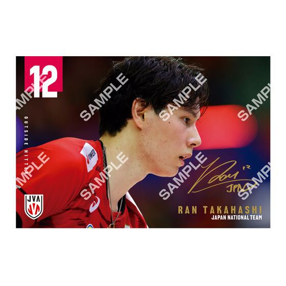 フラットガシャポン】バレーボール男子日本代表 ポストカード