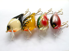 SAURUS | ザウルス