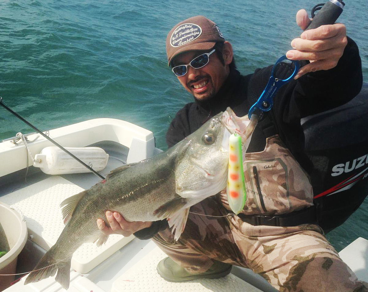 SAURUS | ザウルス