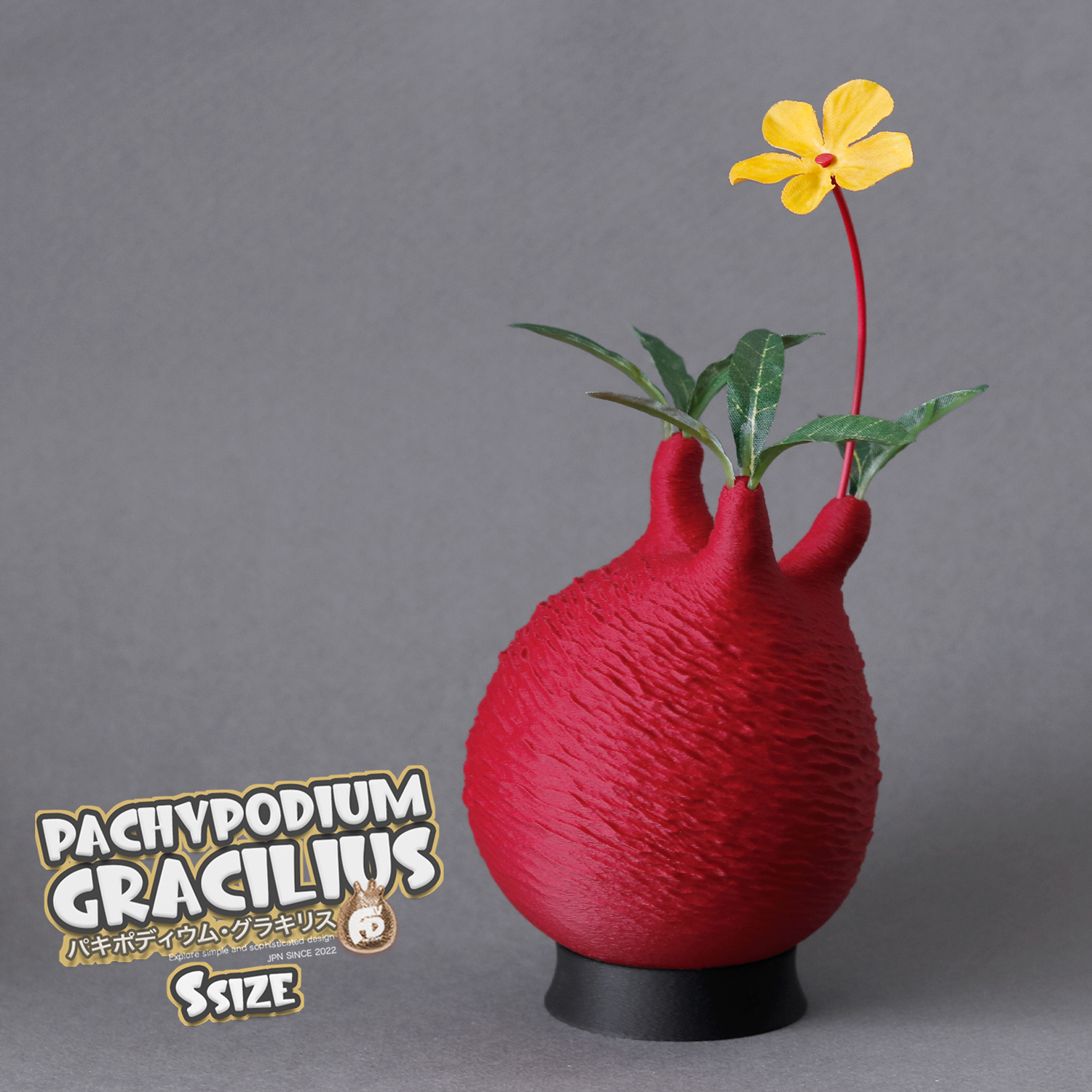 触れたくなるCaudex造形｜パキポディウム グラキリス｜(120x210) Ssize