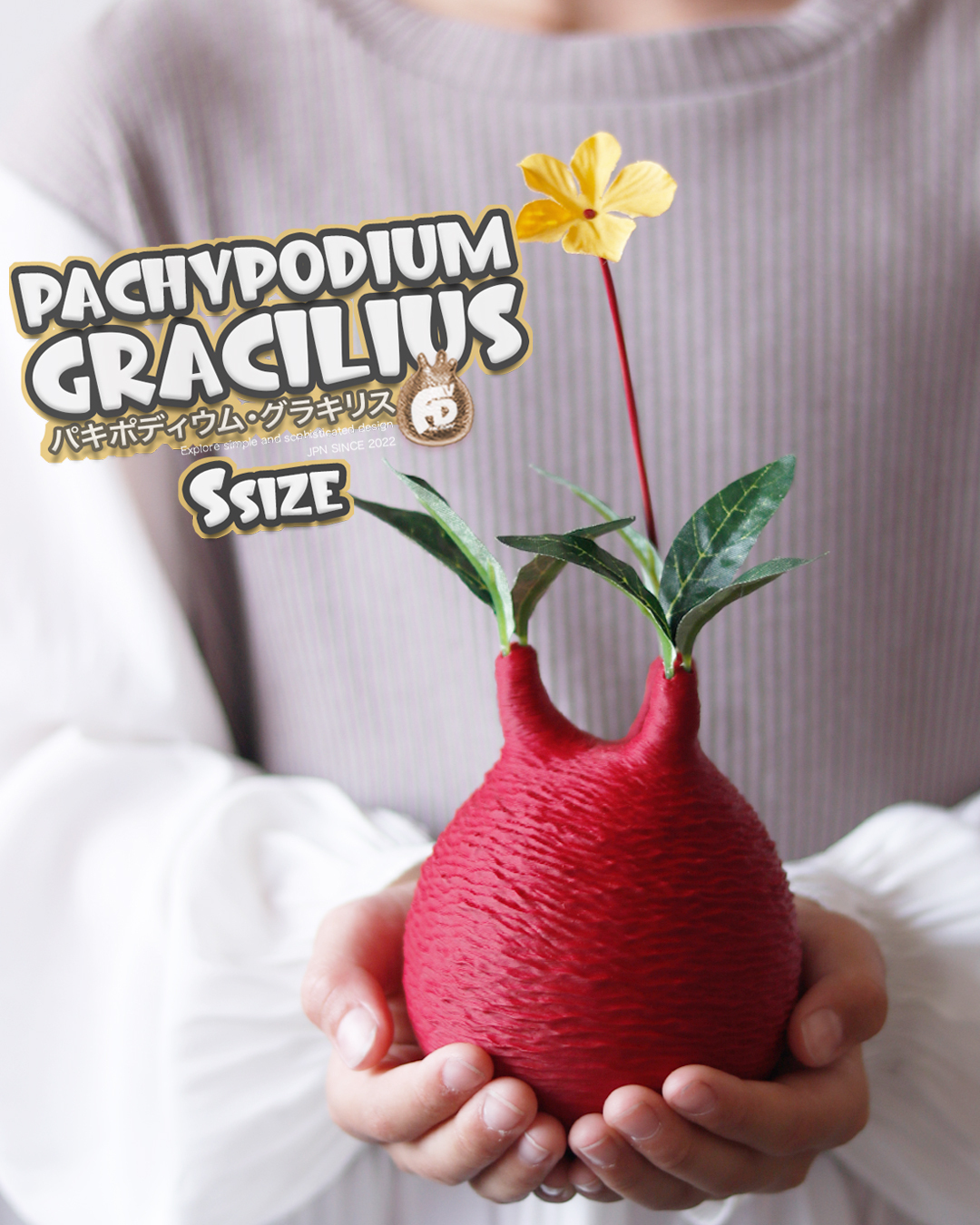 触れたくなるCaudex造形｜パキポディウム グラキリス｜(120x210) Ssize