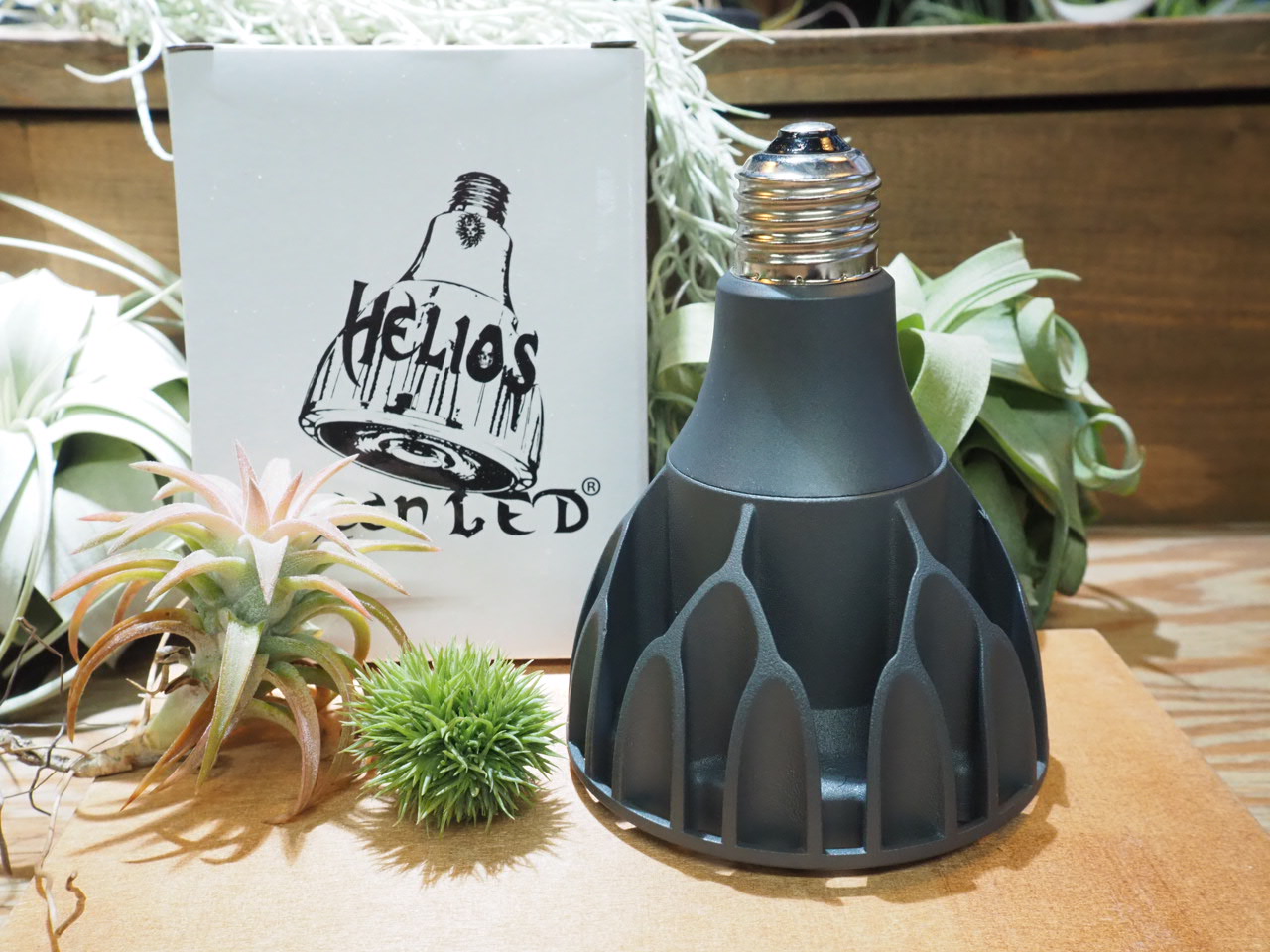 植物育成ライト | 常葉植物園