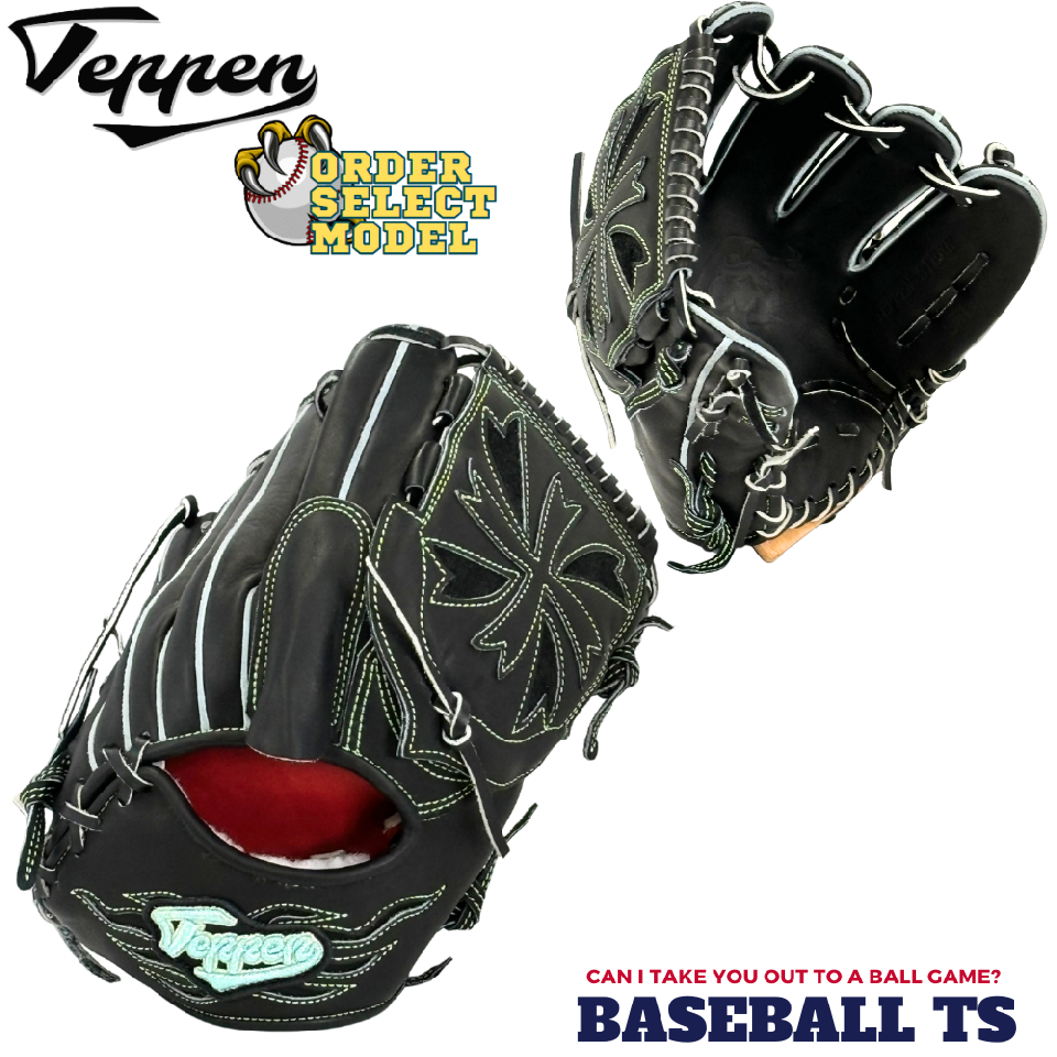 BASEBALL TS / てっぺん 硬式投手用グラブ SW1-H ブラック ウェブ曲げ