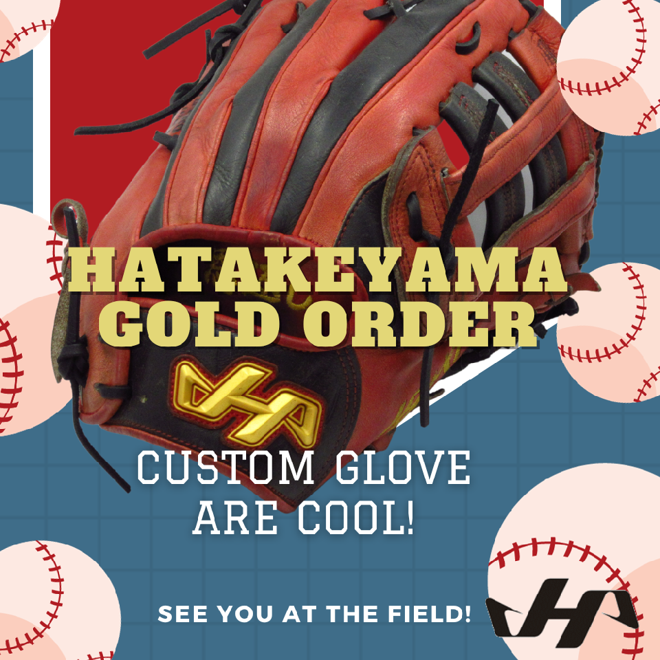 BASEBALL TS / 2026年 ハタケヤマ 軟式オーダー グラブ グローブ