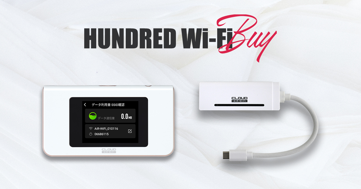 国内ギガ（50GB）+ モバイルルーター（HUNDRED Wi-Fi チャージ Type