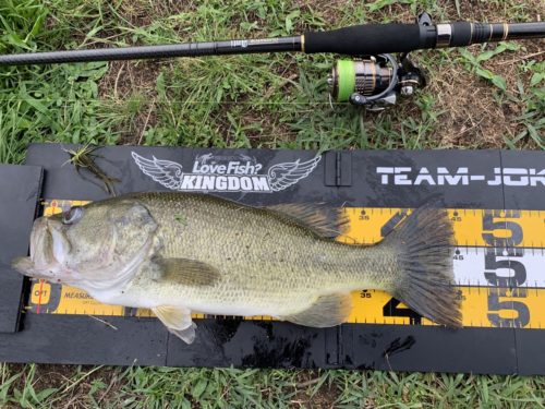 グラディエーターアンチパワーノーズをインプレ【スモラバを吊るすなら