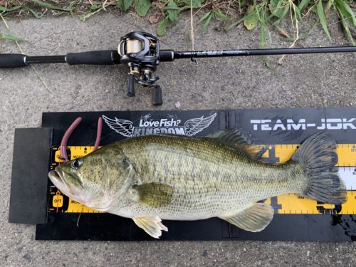 DESINO LEEBEN 新エムスラ611ベイト