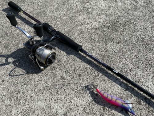 21エメラルダスMX83MLインプレ【初心者にもオススメ！】 | バス釣り