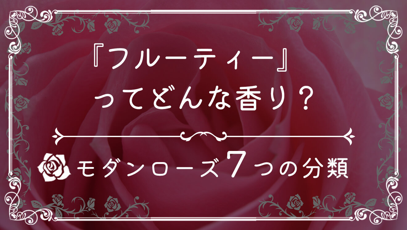 7つの分類】ダマスク・モダンってどんな香り？【モダンローズ】｜バラ