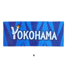 日の丸デザイン/選手名タオル/デスターシャ（4573676052834）|商品詳細