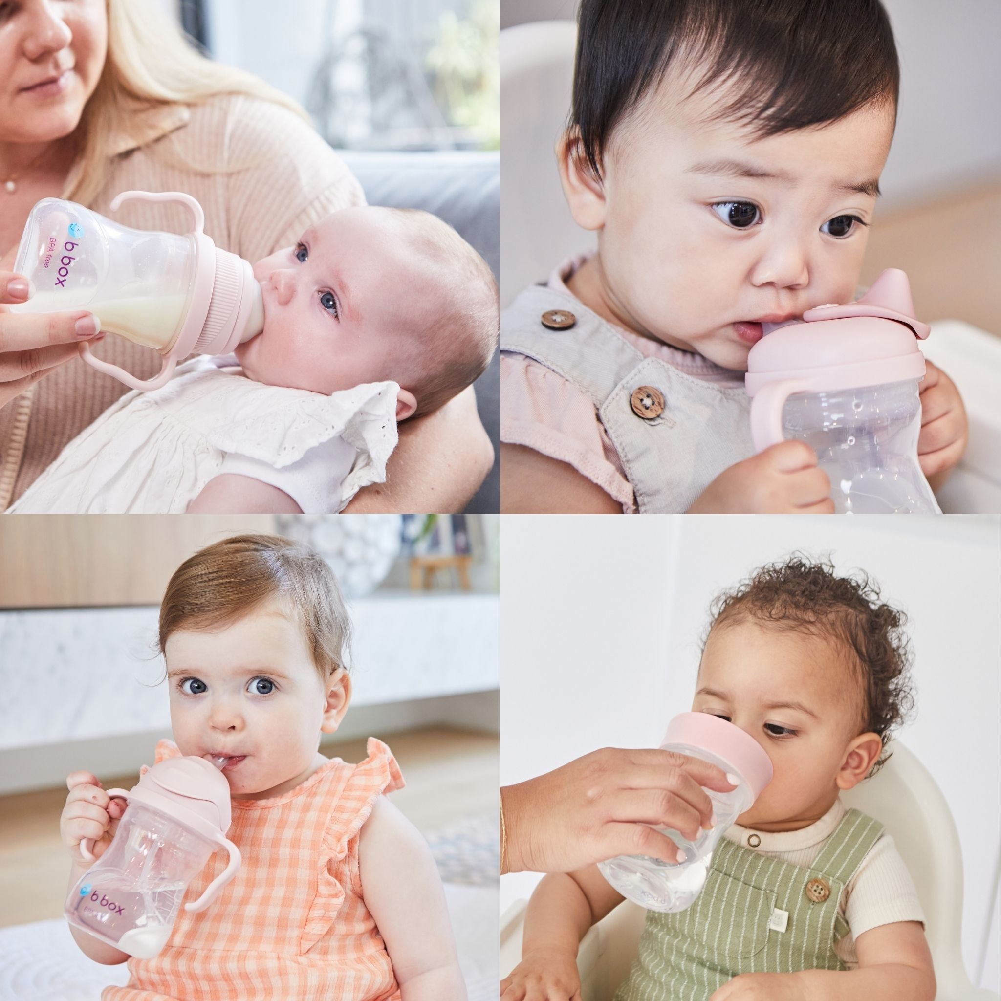 SALE】ステップアップマグパック（ドリンクトレーニング マグセット