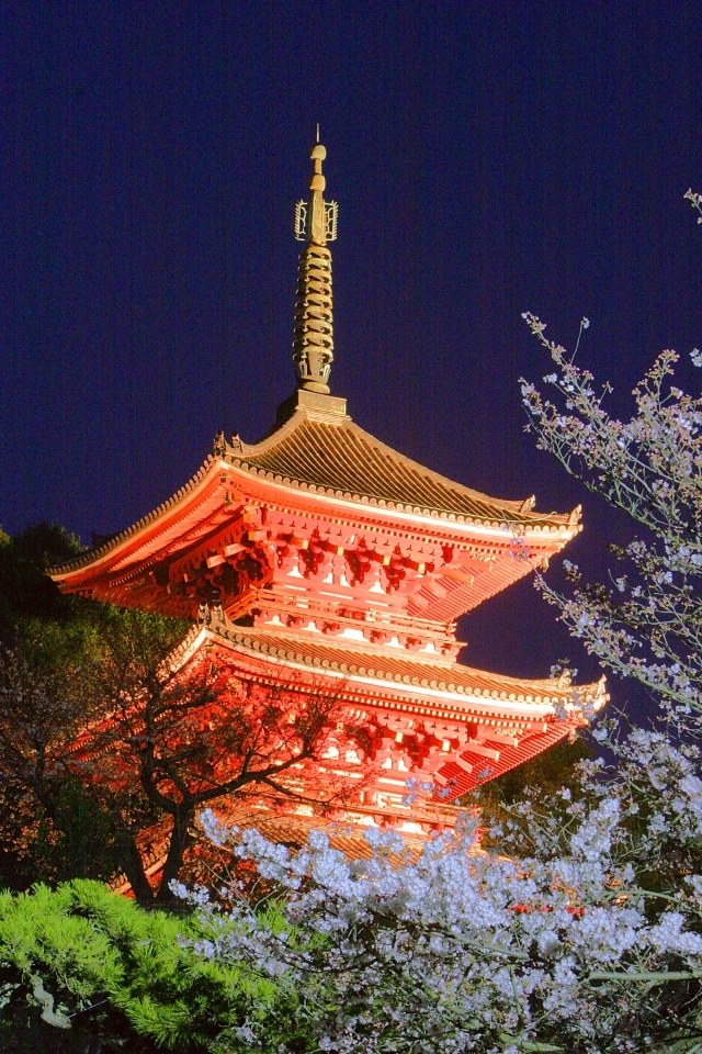 初の夜桜撮影！』 CANON EOS 40D ボディ のクチコミ掲示板 - 価格.com