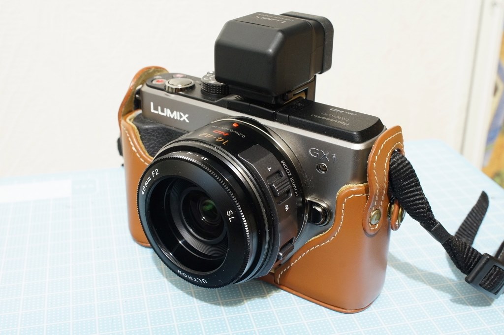 フード沼(笑)』 パナソニック LUMIX DMC-GX1X レンズキット のクチコミ