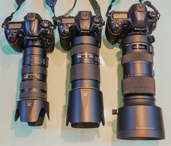 ニコン AF-S NIKKOR 80-400mm f/4.5-5.6G ED VR投稿画像・動画 - 価格.com
