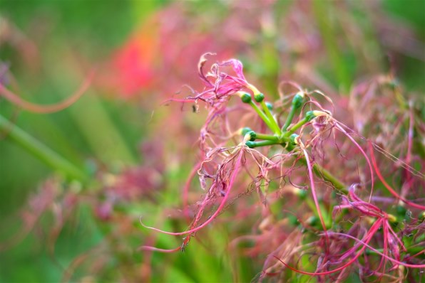 富士フイルム FUJIFILM X-E1 レンズキット [Silver]投稿画像・動画