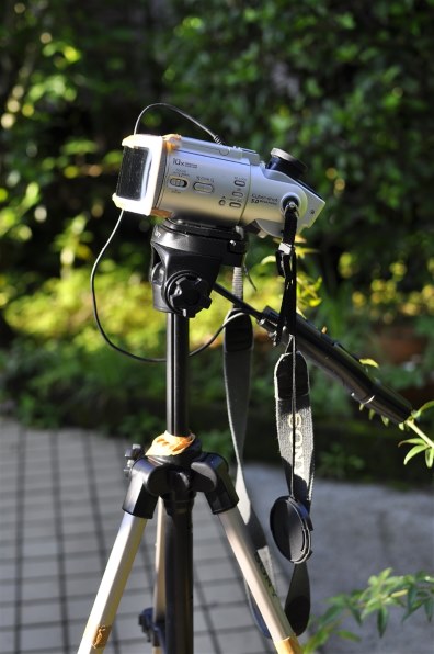 ニコン D90 ボディで撮影された写真 - 価格.com