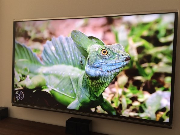 シャープ AQUOS クアトロン プロ LC-46XL10 [46インチ]投稿画像・動画