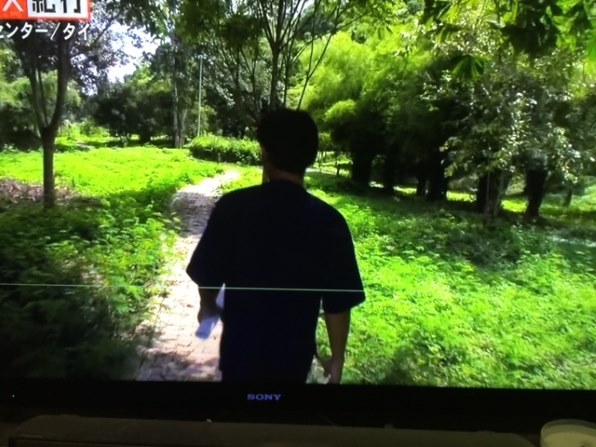 SONY BRAVIA KDL-55HX950 [55インチ]投稿画像・動画 - 価格.com