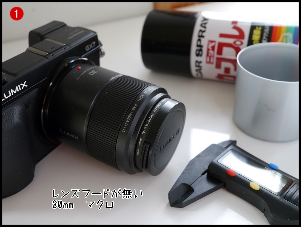レンズフードあった方がいいよね』 パナソニック LUMIX G MACRO 30mm