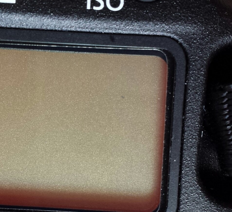 上面モニタードット抜け』 CANON EOS-1D X ボディ のクチコミ掲示板