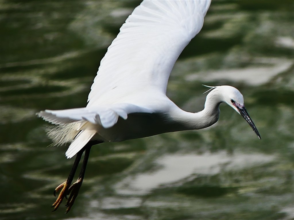 FZ300にドットサイトを付けてみました．』 パナソニック LUMIX DMC