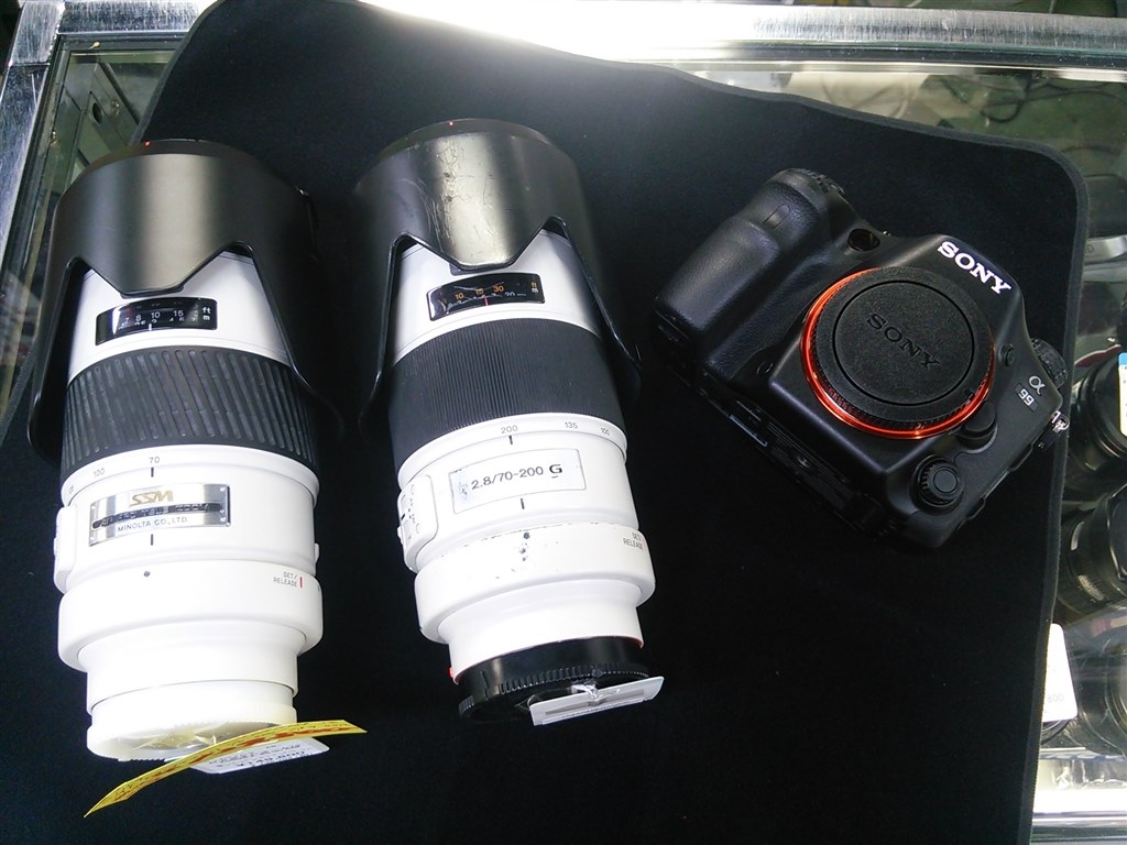 ミノルタ版との色合いの違いについて』 SONY 70-200mm F2.8 G SSM II