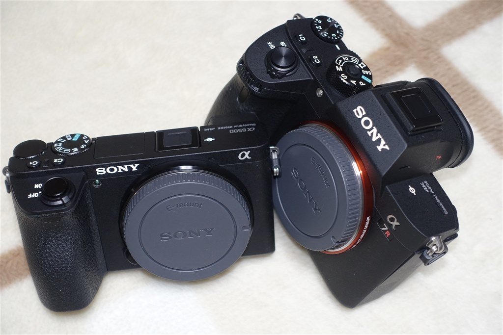 マクロレンズについての素朴な疑問、』 SONY FE 90mm F2.8 Macro G OSS