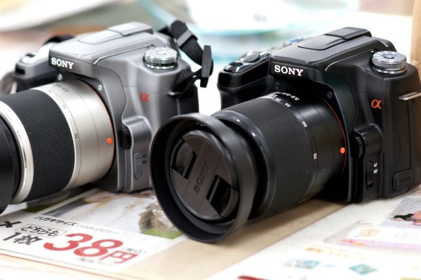 SONY α100 DSLR-A100K ズームレンズキット投稿画像・動画 - 価格.com