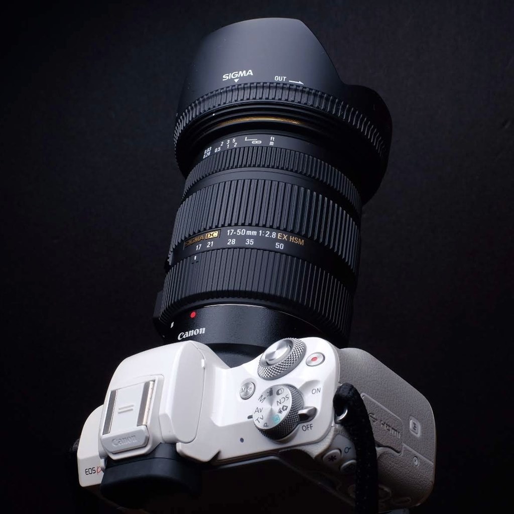 シグマ 17-50mm F2.8 EX HSM、普通に動きました。ただ』 CANON EOS