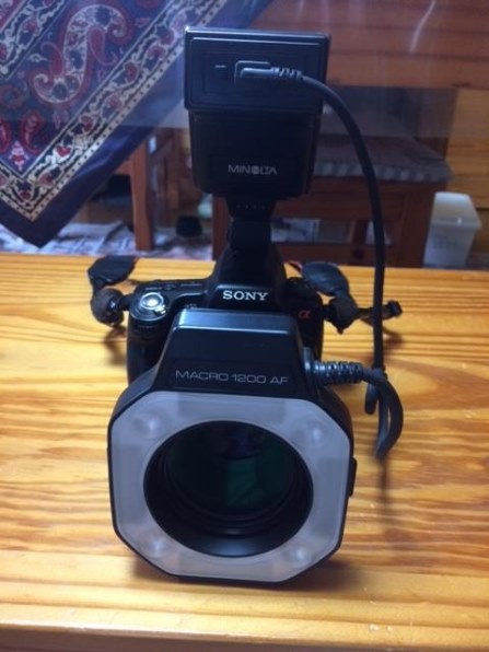 コニカ ミノルタ マクロリングフラッシュ 1200 価格比較 - 価格.com