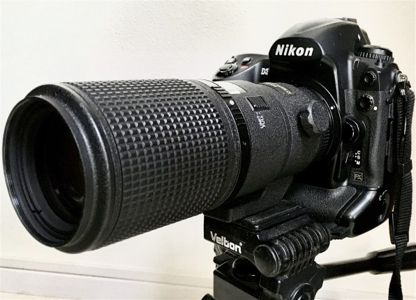 ニコン AI AF Micro-Nikkor 200mm f/4D IF-ED投稿画像・動画 - 価格.com