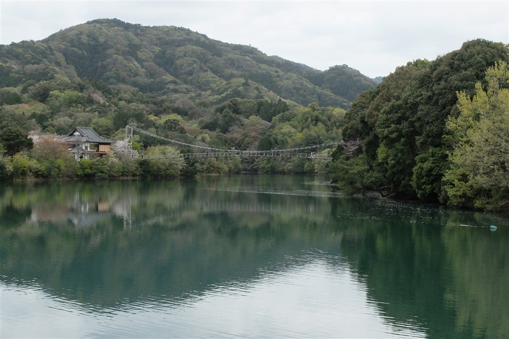 ついに劣化してきた』 富士フイルム FUJIFILM X20 のクチコミ掲示板