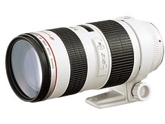 シグマ APO 70-200mm F2.8 EX DG OS HSM [キヤノン用]投稿画像・動画