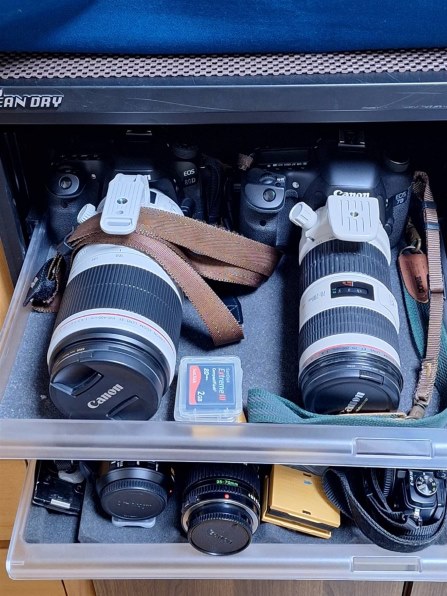 CANON EOS 7D ボディのクチコミ - 価格.com