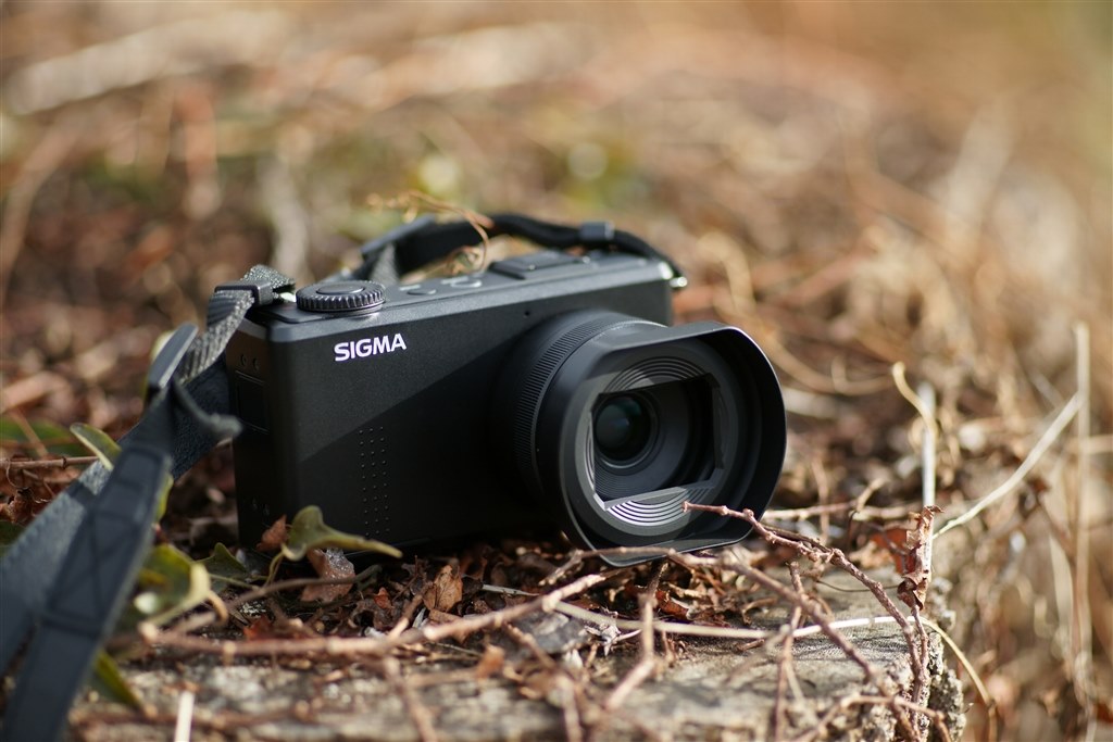 いまさらではありますが』 シグマ SIGMA DP2 Merrill のクチコミ掲示板