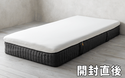 徹底解説】エマ・プレミアム V2（プラスも対応）の体験・検証レビュー