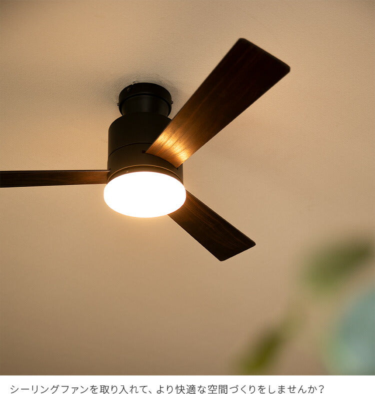 bbcf-001_17.jpg?v=1747298271&