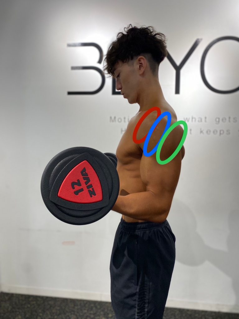 最短で肩メロンに！】肩の丸みを作る為のサイドレイズとは！ | 町田