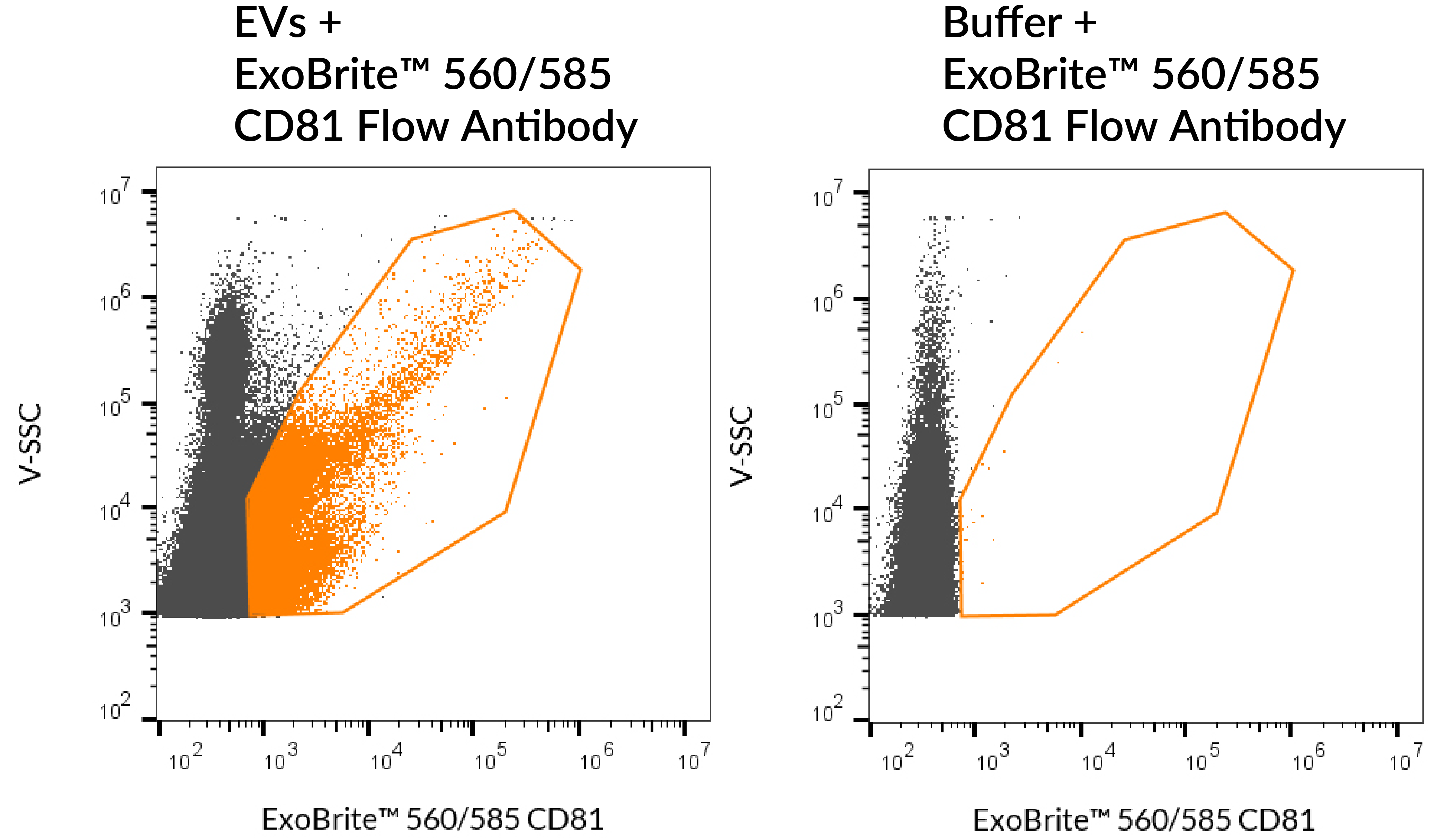ExoBrite™ CD81 Flow Antibody - Biotium