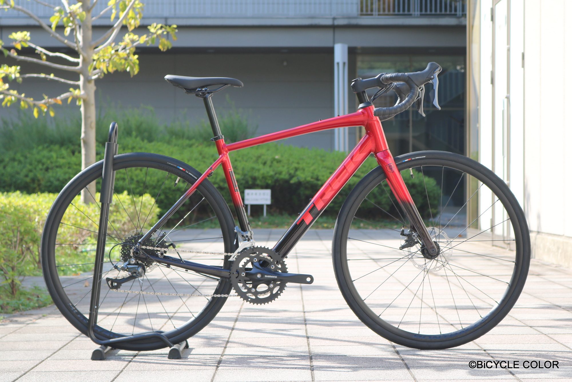 美しい艶感は一見の価値あり！！ エントリーグレードDOMANE AL2 Gen4