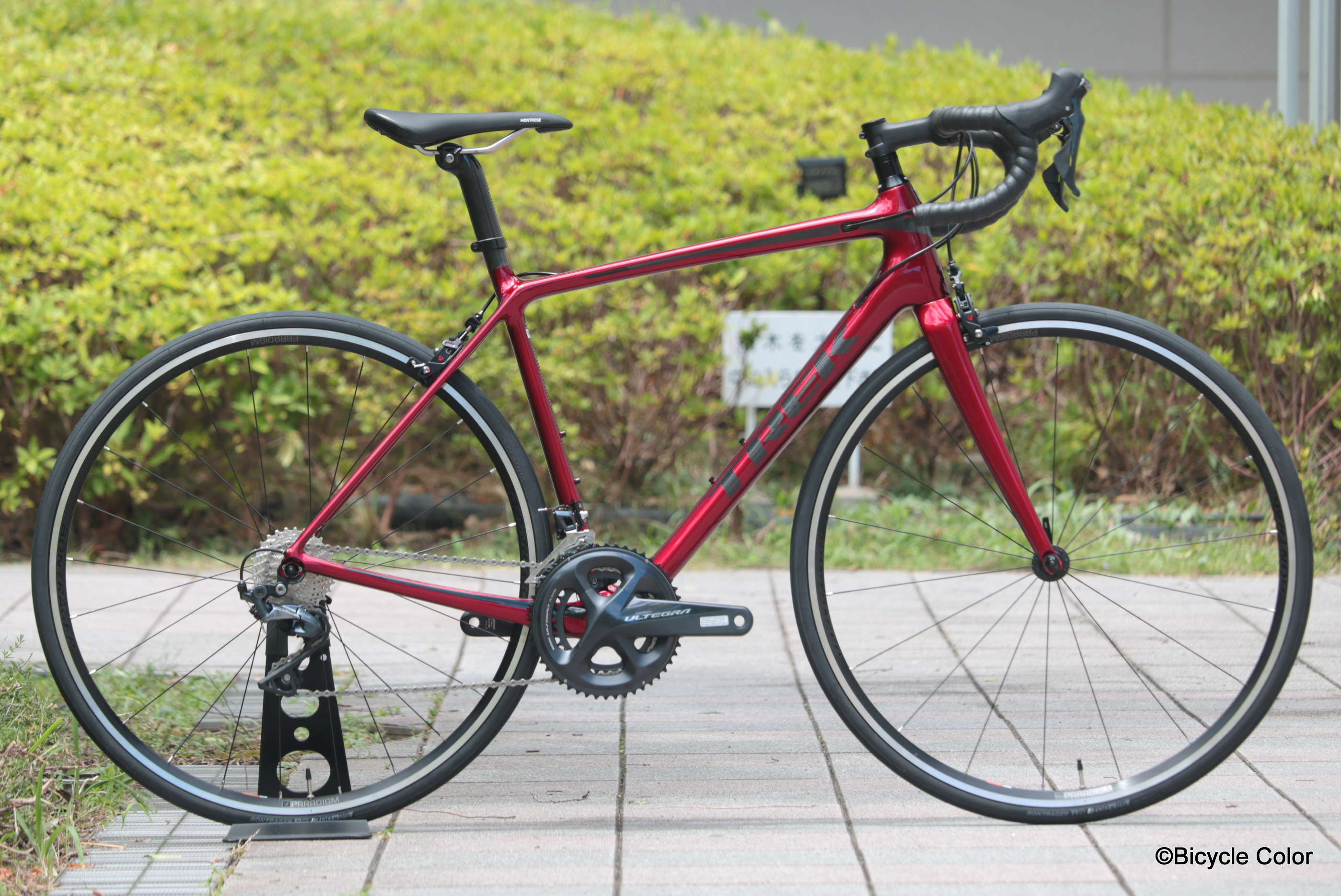 TREK(トレック)最新2019年モデル！美しいカーボンフレームが魅力