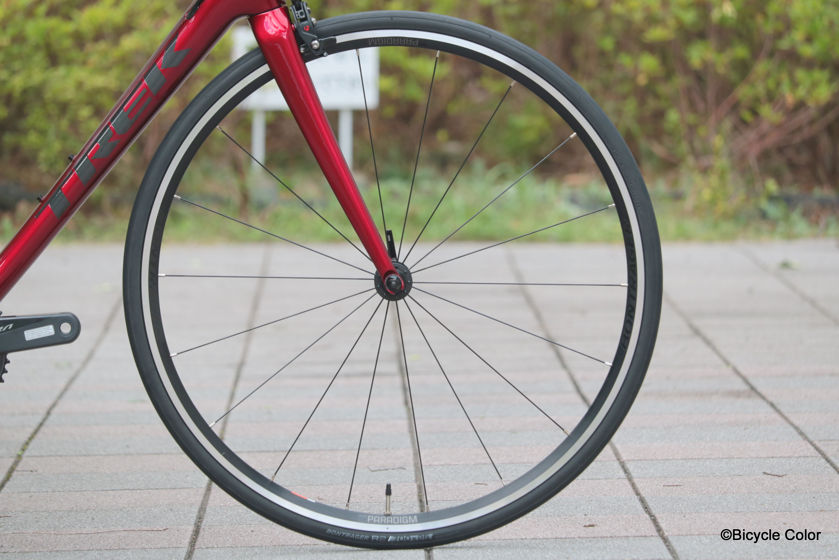 TREK(トレック)最新2019年モデル！美しいカーボンフレームが魅力