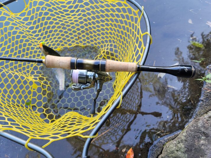 シマノ 16カーディフエリアリミテッドをインプレ！20カーディフエリア