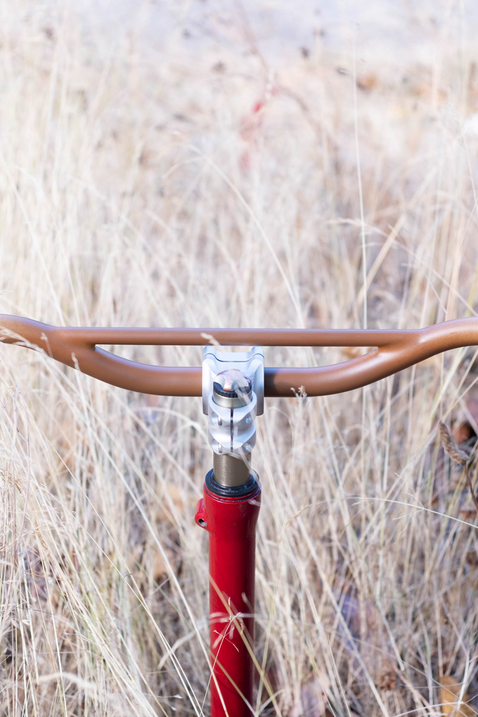 Preorders for the Forager Bolete Fade Oyster Bars Open Today